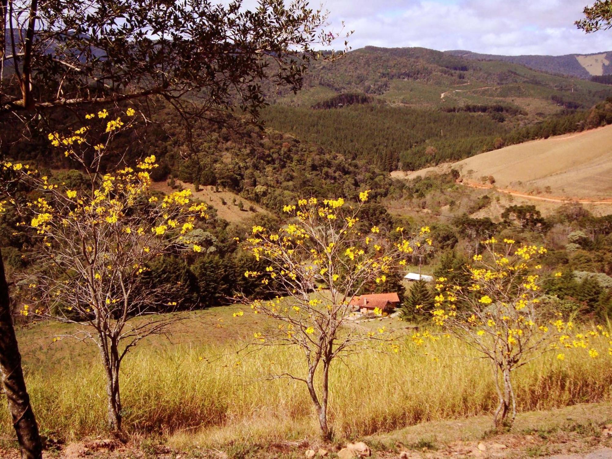 Chales Estrada De Chao Monte Verde  Exteriör bild